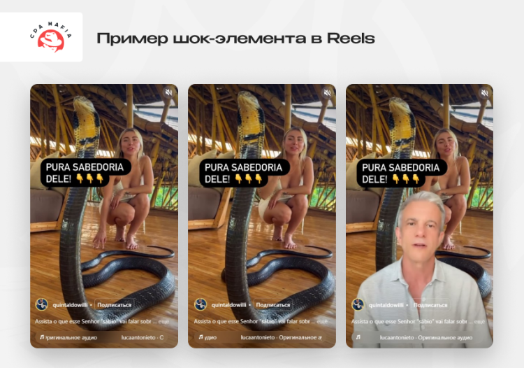 Огромная кобра приковывает внимание зрителя с первой же секунды видео | CPA Mafia