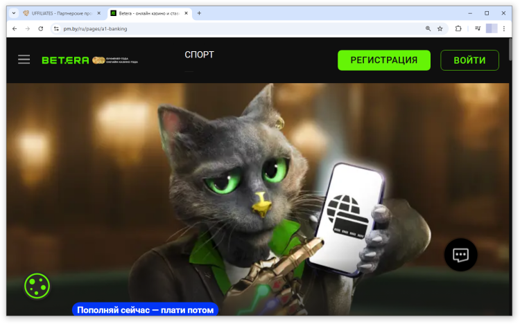 Виртуальный Кот Betera | CPA Mafia