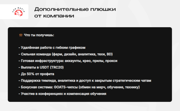 Описание вакансии для арбитражника трафика с указанием множества дополнительных бонусов | CPA Mafia