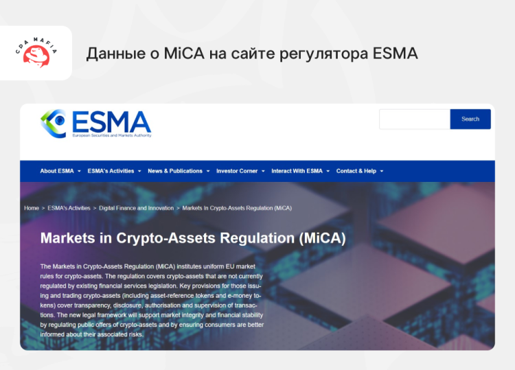 Официальный сайт Европейского управления по ценным бумагам и рынкам ESMA, где представлена информация о MiCA | CPA Mafia