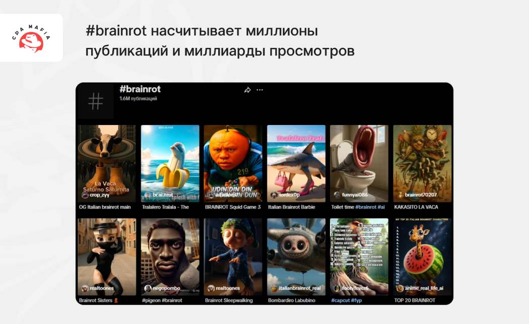 Данные и видео по хэштегу #brainrot в ТикТоке | CPA Mafia