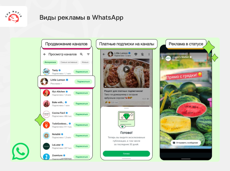 Объявление разработчиков с описанием нюансов новых рекламных форматов в WhatsApp | CPA Mafia